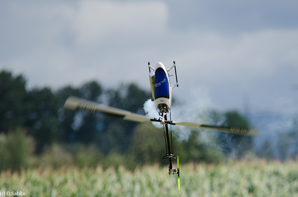 Flugtag_Oberhausen_2012-9.jpg